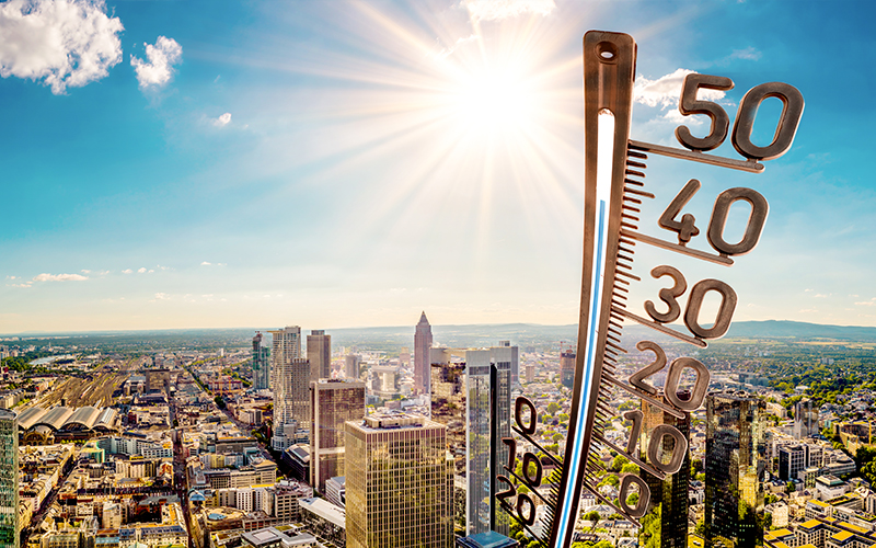 環境変化の影響